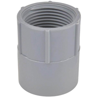 Conduit Adapt Fpt 1.25"