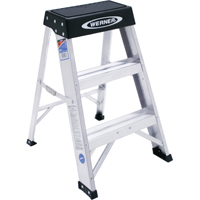 Ladder Step 2' Alum Werner