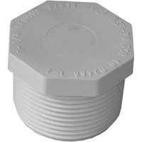 Pipe Plug Mip 1.25" Pvc