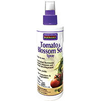 Bonide Tomato/blossom Set 8oz