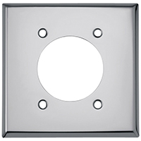 Power Outlet Plate 220v 2g