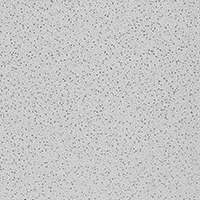 Ceiling Tile 2'x2' 16ct Wht