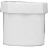 Pipe Plug Spigot 3/4" Sch40