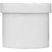 Pipe Plug Slip 1" Pvc
