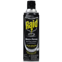 Raid Wasp/hornet Kill 14oz