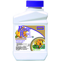 Bonide Rose 3-in-1 1pt Conc