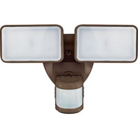 Hz Motion Activated Light Brz
