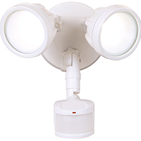 Security Light Twin Head Led