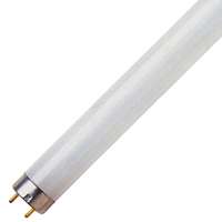 Bulb Fluor Cl-wht Mni 12in T5 8w