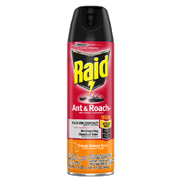 Raid Ant/roach Spray 17.5oz Orng
