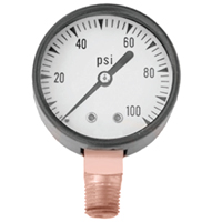 Simmons Pressure Gauge 100psi