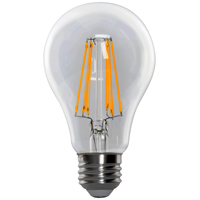 Feit Led Bulb 15w Daylight A21