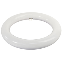 Feit Bulb Circ Cw Led 4-pin 8"