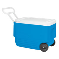 Igloo Ice Chest 38qt