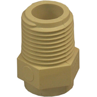 Cpvc Adaptr Slipxmip 1/2"