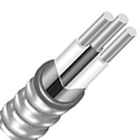 Cable Armored Metal 14/2 25'