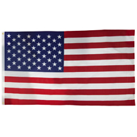 Flag Usa 5'x8'