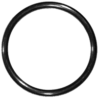 O-ring #84