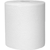 Paper Towel Wht Lrg 6/cs