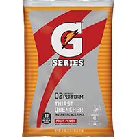 Gatorade Powder Fruit Punch 51oz