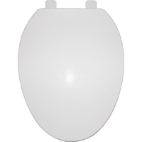 Ps Toilet Seat Slow-close 19"