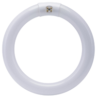 Bulb Circ Fluor T9 6500k 22w