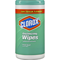 Clorox Wipes Fresh Scnt 75ct