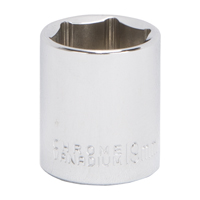 Socket 19mm 3/8"dr 6pt