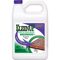 Bonide Kleenup Conc 4gl