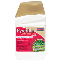 Bonide Pyrethrin Spray 1pt