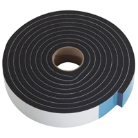 Weather Tape Auto/mari 10' Blk