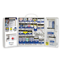 Deluxe First Aid Kit W/ Meds