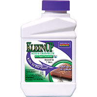 Bonide Kleen Up 1pt Conc
