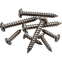 V8601 Mount Screw Chr