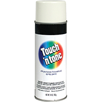 Touch-n-tone Spray Gls 10oz Wht