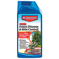 Bioadv Insect/disease 32oz Conc