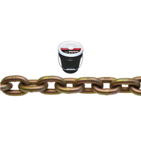 Chain Trnspt 1/4" Gr70 141'