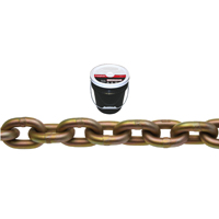 Chain Trnspt 5/16" Gr70 92'