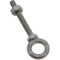 Eye Bolt Forgd 5/16"x2.25"