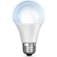 Bulb A19 5000k Alexa Google