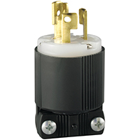 Locking Elec Plug 125/250v