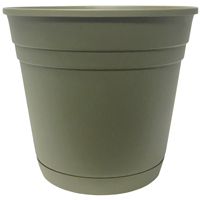 8" Rolled Rim Planter Grn