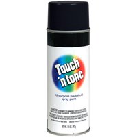 Touch-n-tone Spray Gls 10oz Blk