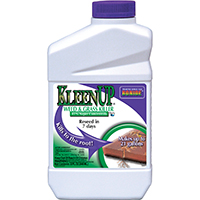Bonide Kleenup 1qt Conc
