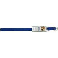 Nylon Collar 22"x1" Royal