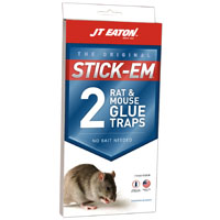 Jt Mouse/rat Glue Trap 2pk