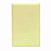 Wallplate Blank 1g Ivy