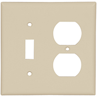 Wallplate Combo 2g Ivy
