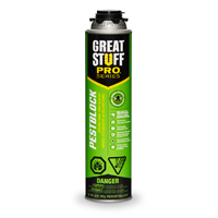Gs Sealant Foam Insulatn 20oz