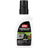 Ortho G-clear 32oz Conc